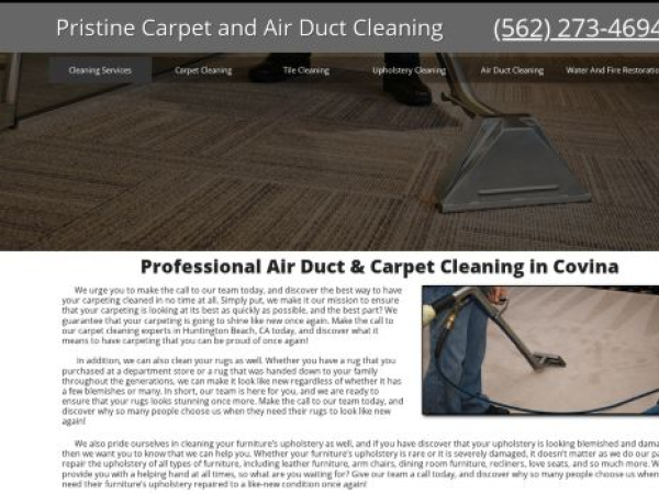 pristinecarpetandairductcleaning.com — SEO audit screenshot