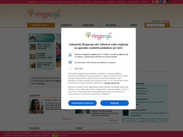 ringaraja.net — SEO audit screenshot