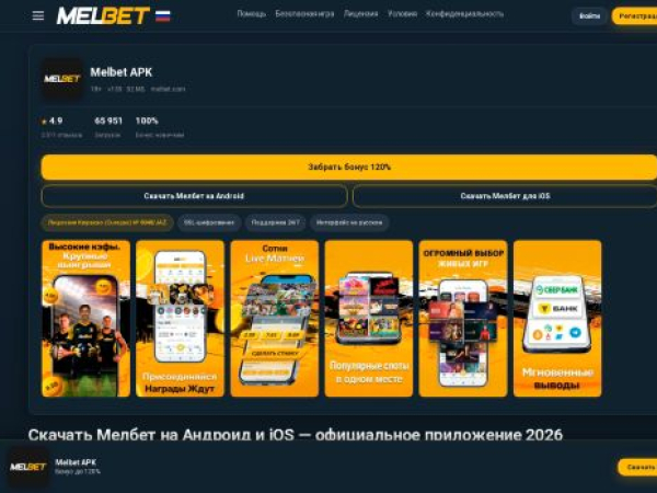 storwize.ru — SEO audit screenshot