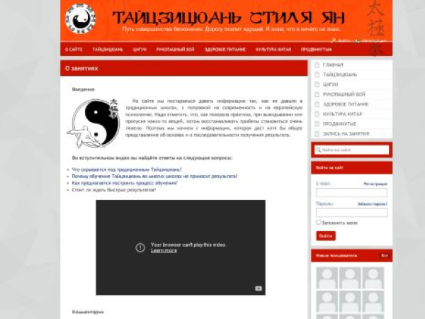 style-yang.ru — SEO audit screenshot