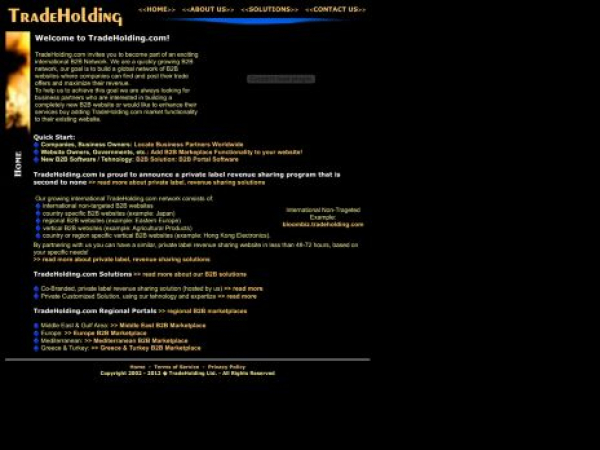 tradeholding.com — SEO audit screenshot