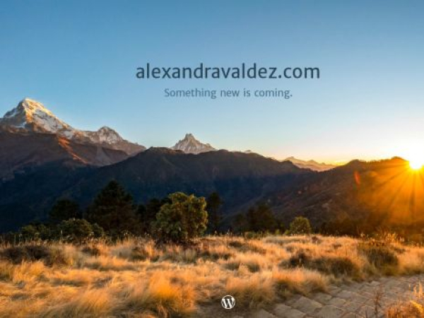 alexandravaldez.com — SEO audit screenshot