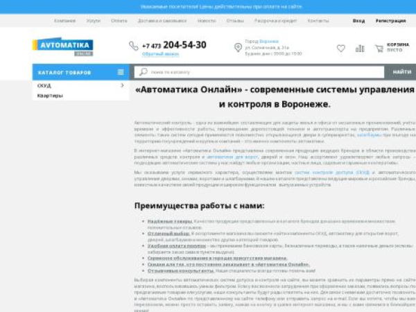 avtomatika.online — SEO audit screenshot
