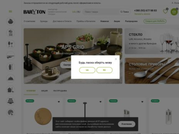 baryton.com.ua — SEO audit screenshot