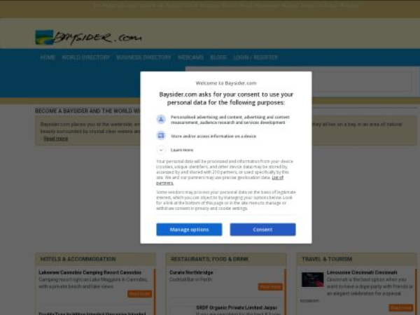 baysider.com — SEO audit screenshot