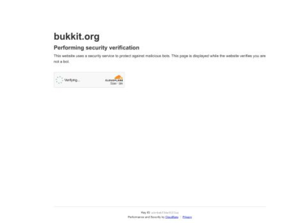 bukkit.org — SEO audit screenshot