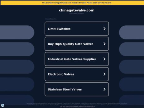 chinagatevalve.com — SEO audit screenshot