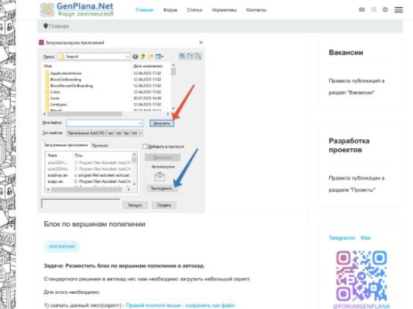 genplana.net — SEO audit screenshot