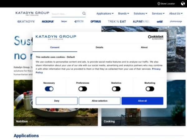 katadyngroup.com — SEO audit screenshot