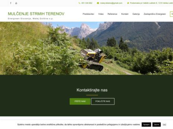 matejdolsina.si — SEO audit screenshot