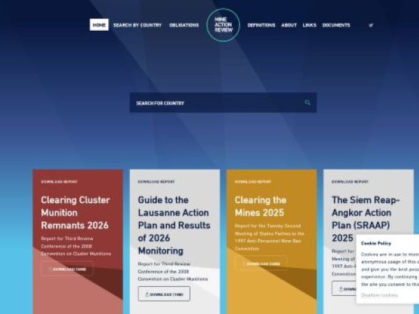 mineactionreview.org — SEO audit screenshot