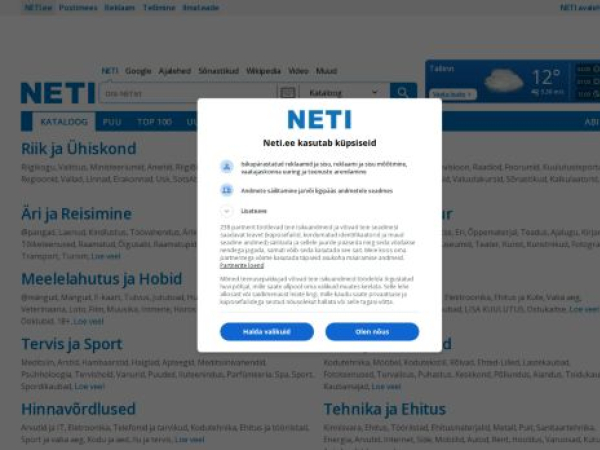 neti.ee — SEO audit screenshot