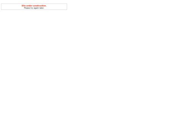 newperm.ru — SEO audit screenshot