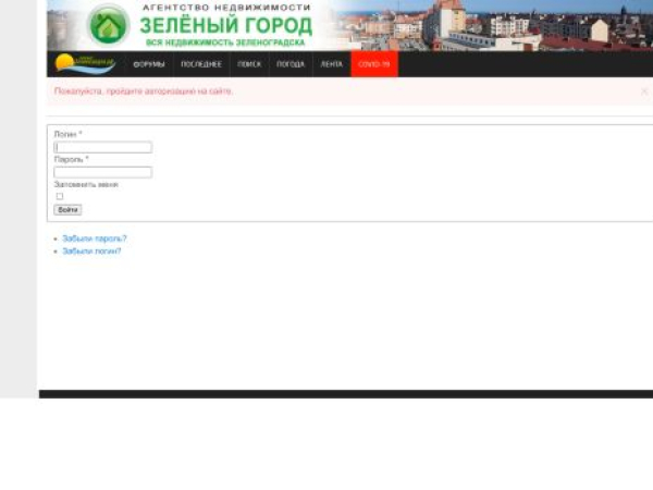 nz39.ru — SEO audit screenshot