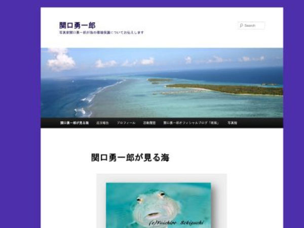 sekiguchiyuichiro.org — SEO audit screenshot