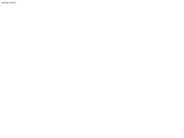 shortpixel.net — SEO audit screenshot