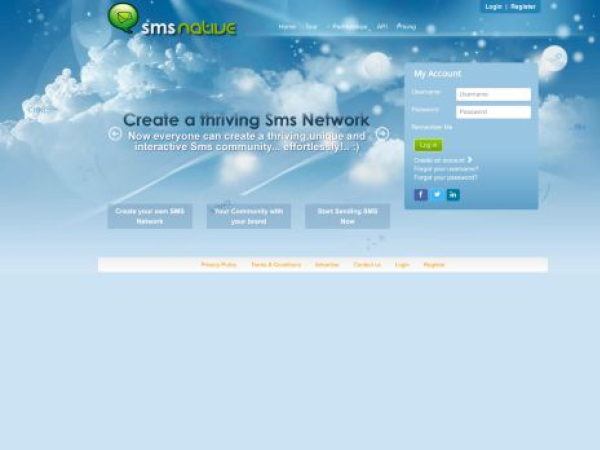 smsnative.com — SEO audit screenshot