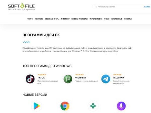 soft-file.ru — SEO audit screenshot
