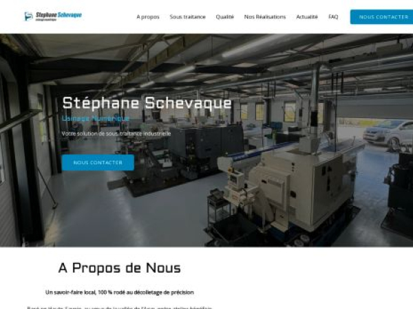 stephane-schevaque.fr — SEO audit screenshot