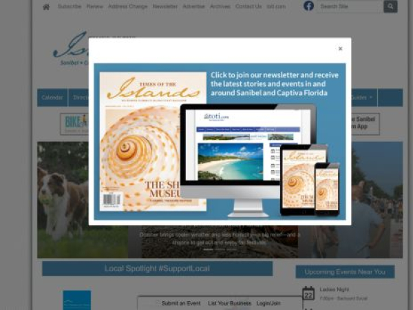 timesoftheislands.com — SEO audit screenshot