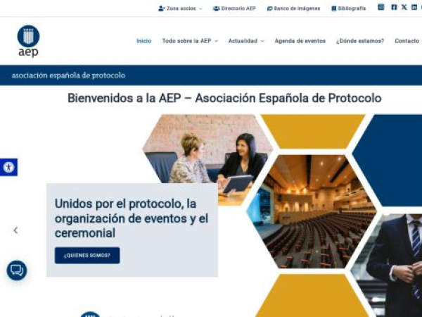 aeprotocolo.org — SEO audit screenshot