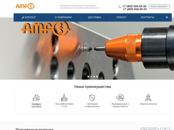 amf-instrument.ru — SEO audit screenshot