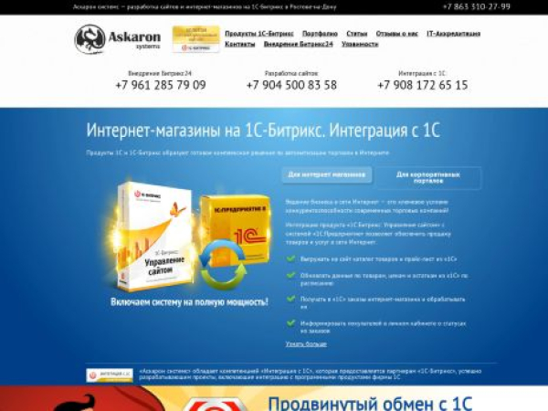 askaron.ru — SEO audit screenshot
