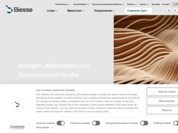 biessegroup.com — SEO audit screenshot