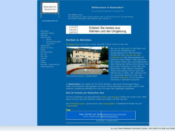 bodensdorf.com — SEO audit screenshot