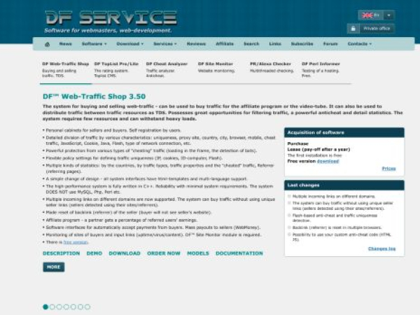 dfservice.com — SEO audit screenshot