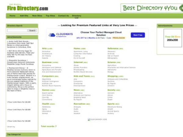 fire-directory.com — SEO audit screenshot