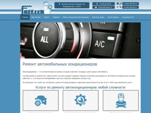 freezer.ru — SEO audit screenshot