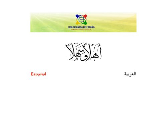 liga-islamica.org — SEO audit screenshot