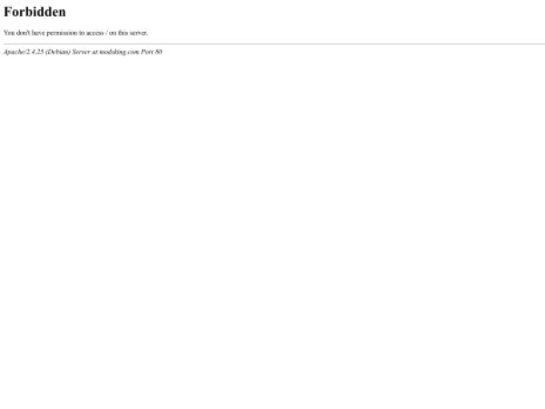 modsking.com — SEO audit screenshot