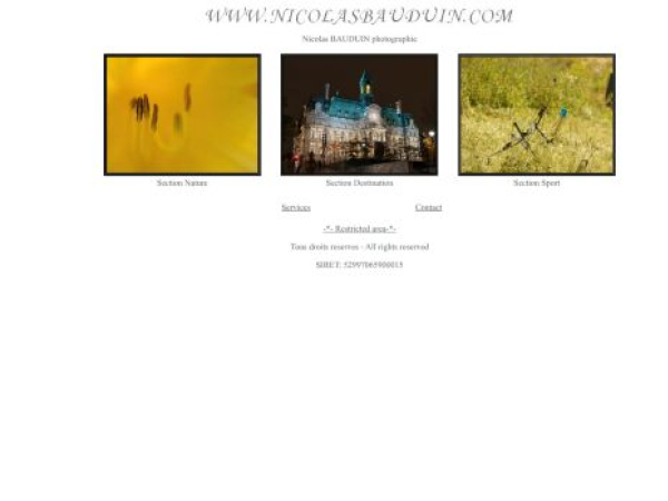 nicolasbauduin.com — SEO audit screenshot