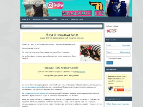 nika-archi.ru — SEO audit screenshot