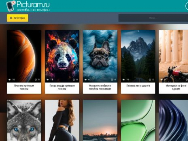picturam.ru
