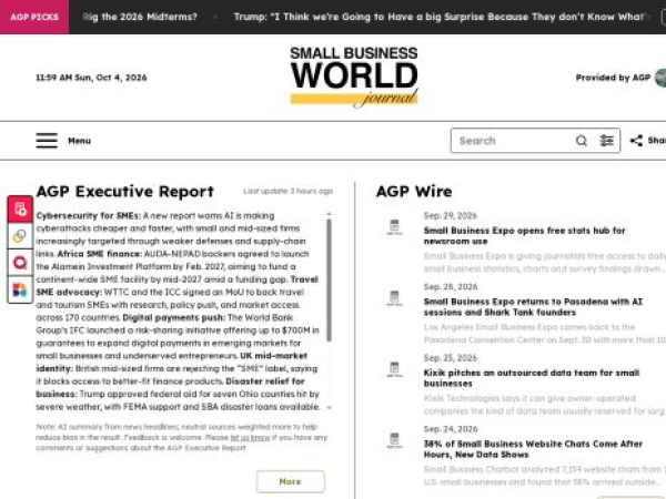 smallbusinessworldjournal.com — SEO audit screenshot