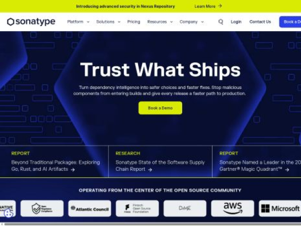 sonatype.com — SEO audit screenshot
