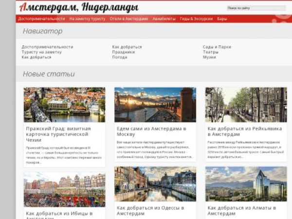 toamsterdam.ru — SEO audit screenshot