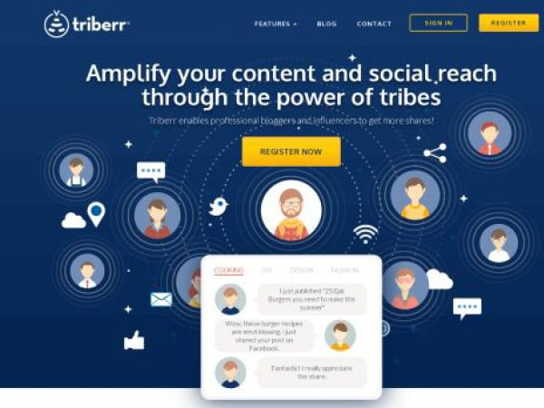 triberr.com — SEO audit screenshot
