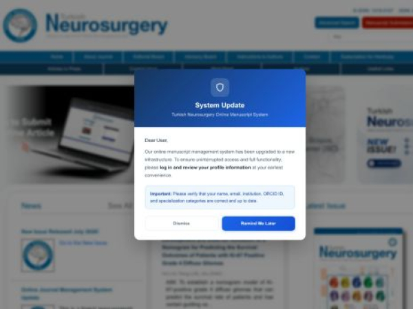 turkishneurosurgery.org.tr — SEO audit screenshot