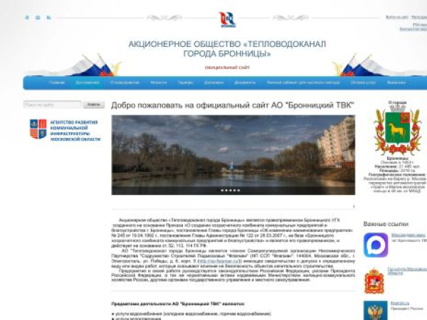 tvkbronn.ru — SEO audit screenshot