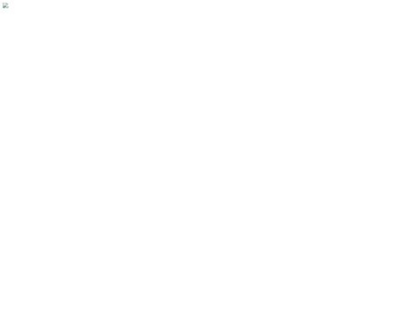 weloveru.ru — SEO audit screenshot