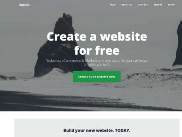 wpsuo.com — SEO audit screenshot