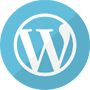 CMS Theme Detector